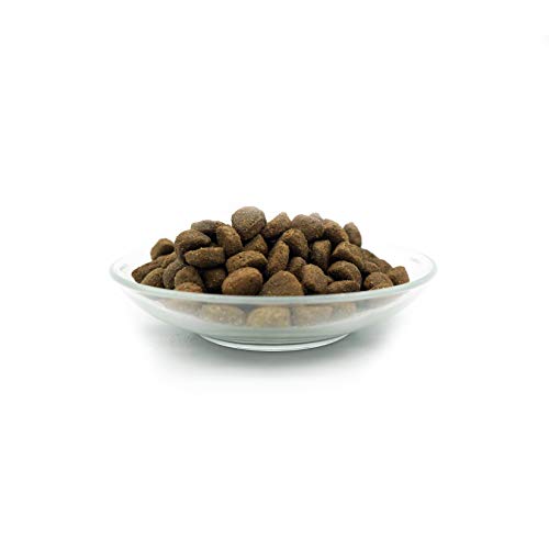 Bellfor Heide-Schmaus Trockenfutter mit Weidelamm und Wildkaninchenfleisch Getreidefrei Reich an natürlichen Vitaminen, Mineralien (Spurenelemente) und Antioxidantien 2,5 kg