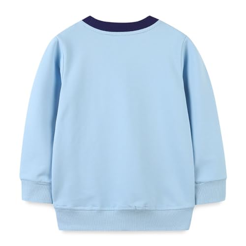 Boys Sweatshirts Long Sleeve Sweatshirts T-shirts Crew Neck Cotton Casual Sweatshirts Cartoon Tops for Boys-1482