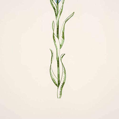 Holyart Coprileggio Bianco Simbolo Mariano e