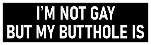 I'm Not Gay But My Butthole is Sticker 2 Sticker Deal 3x9 and 2x2 Funny Anal Gay Joke Prank Gag Gift