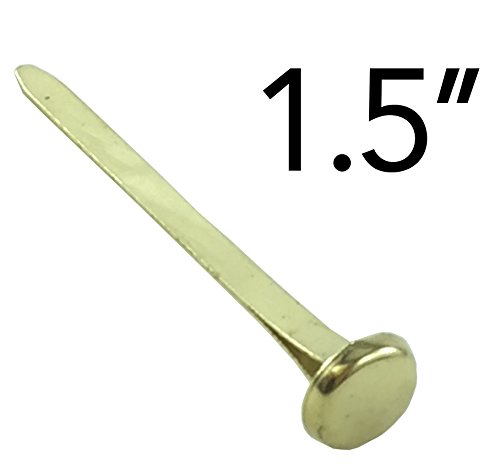 Clipco Paper Fasteners Extra Large 1.5-Inch Brass Plated (100-Pack)