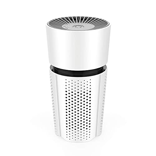 MICPANG Air Purifiers for Bedroom Mini Desktop Air Purifier for Home HEPA Air Purifier with True Air Filters Car Air Purifier Low Noise Portable Air Purifier USB Air Cleaner
