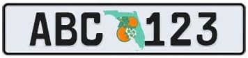 Custom Florida Euro Style License Plate - 10 Character Multiple Colors