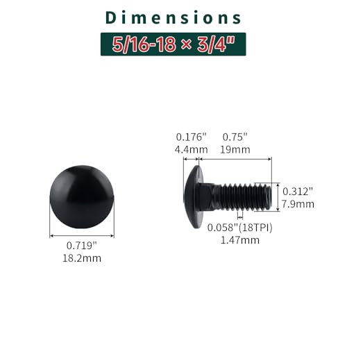 Image of 5 /16-18 x 3 /4 inch Black Carriage Bolts with Nuts and Washers Kits (10 Sets), 304 Stainless Steel 18 /8, Black Finish, Round Head, Square Neck, Heavy Duty Bolts, Indoor Outdoor Fastening Bolts, Fayeploo