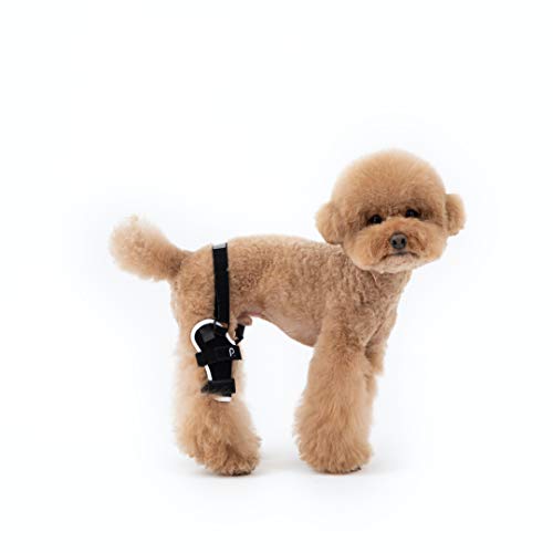 Top 10 Best Dog Knee Brace of 2021 Review Best Pet Pro