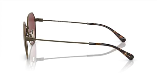 Coach Men's Hc7155 Round Sunglasses3