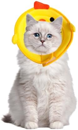 Cat Recovery Collars & Cones (Yellow-Chick)