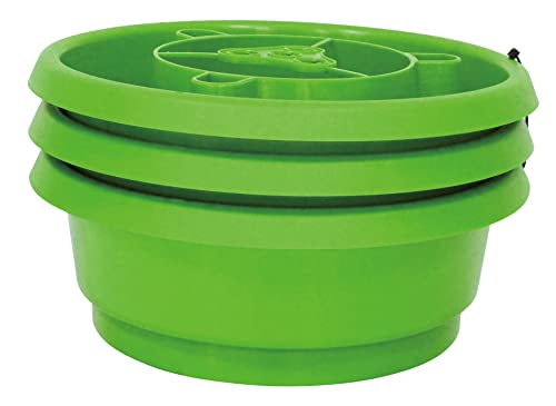 Dehner Bewässerungsring mit Schneckenschutz, 3 Stück, je Ø 24 cm, Höhe 9 cm, Kunststoff, grün