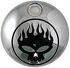 Chrome with Black Flame Skull FLT Fuel Tank Console Door