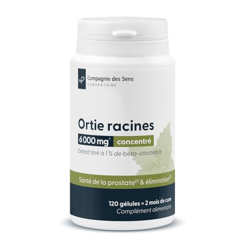 Racines d'orties concentrées - 6000 mg par jour – Extrait titré à 1% de bêta-sitostérols –...
