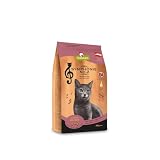 GranataPet Symphonie No. 2 Lachs, 300g