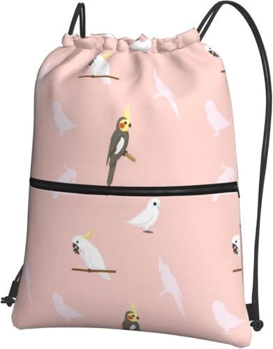 [ESASAV] IE  ibvTbN TbNpbN ̑ j̎q ̎q В ̑ w ւ 傫