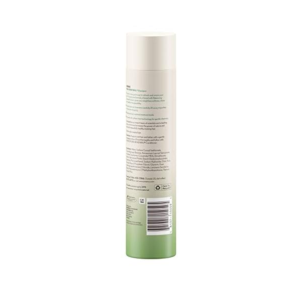 Aveeno-Pure-Renewal-Gentle-Shampoo-105-Fl-Oz-2-Count Aveeno Pure Renewal Gentle Shampoo, 2 Count, white, 21 Fl Oz