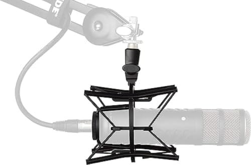 Rode Wireless Pro microphone