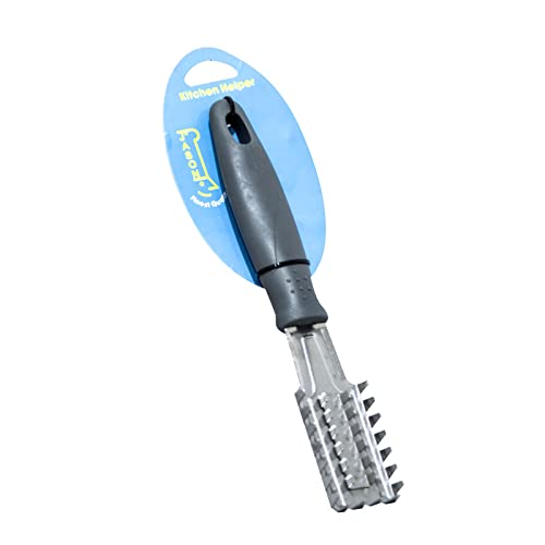 JASON Fish Cleaner With Plastic Handle
