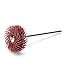 Scotch-Brite(TM) Radial Bristle Disc, Ceramic, 35000 rpm, 3/4 Diameter, 220 Grit, Red (Pack of 48)