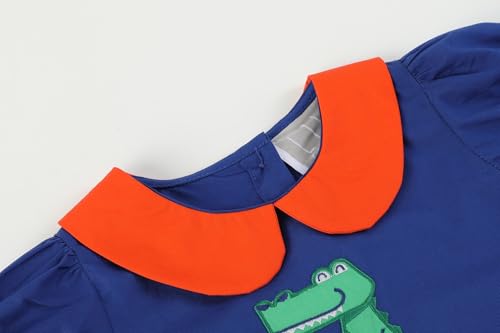 Louisiana Cheer Dress4