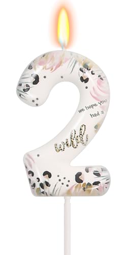 FAMGift Wild Theme Number 2 Candle for Girl Two Wild Birthday Cake Decorations Jungle Safari Theme Party Supplies