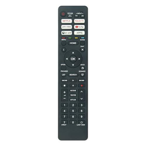 AULCMEET N2QBYA000048 Neue Ersatz Fernbedienung passend für Panasonic Smart TV TX-50JXT886 TX-50JZ2000E TX-55JZC2004 TX-55JZW2004 TX-65JZC2000E TX-65JZC2004