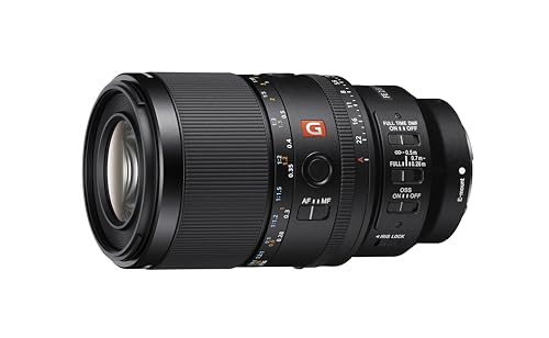 Sony FE 100mm F2.8 GM OSS