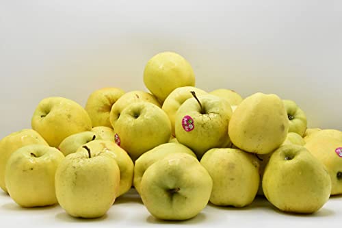FaBio Frutta 8 kg mele Golden,la mela dall inconfondibile buccia gialla ,rugginosa,dalla polpa consistentee succosa, zuccherina e profumata - 4