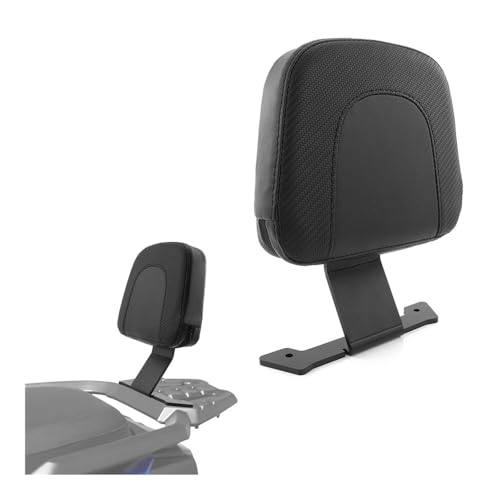 Soutien dossier passager ergonomique avec plaques de support pour YW125