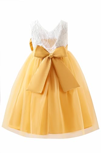 Toddler Girls Tulle Sleeveless Crewneck Embroidery Lace Floral Belted Birthday Princess Party Tutu Dress for 3-8Y2