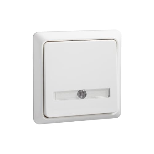 Elso Taster flach beleuchtet 1 A.42 V mit separetem Anschluss, 506344