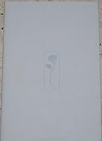 Looking for the Blue Rose 0874211492 Book Cover