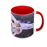 Mug de Couleur Qualité Premium Rouge - Golden Retriever Nage Dans l'Eau Gros Chien Beige Mignon - Tasse avec anse et intérieur de couleur