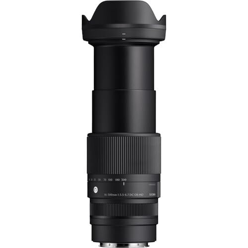 Amazon.com : Sigma 16-300mm f3.5-6.7 DC OS Contemporary Lens for