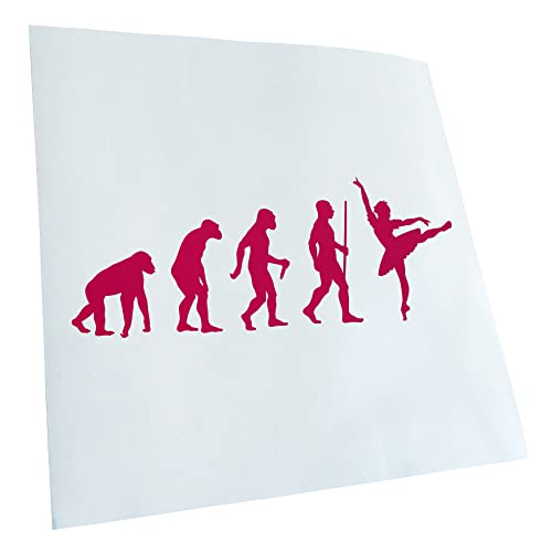 Kiwistar - Autocollant - évolution ballerine - pink - G24 - Pour voitures, vélos, véhicules, motos, cyclomoteurs, tuning, vitres arrière