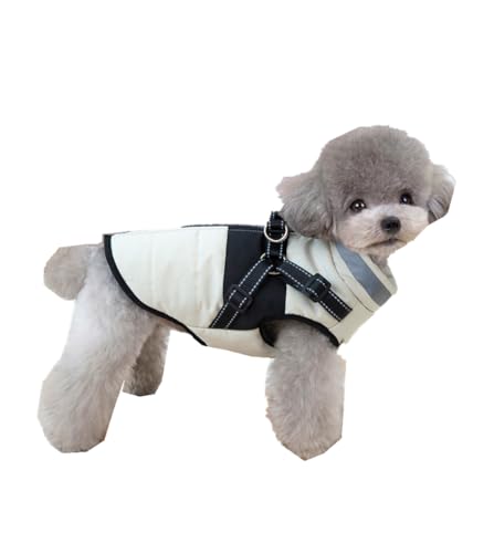 Morycat H~ m {A cJ WPbg Ȃ wJ _E xXg hbOEFA [hO ȕ h m g oU ^ (x[W,S)