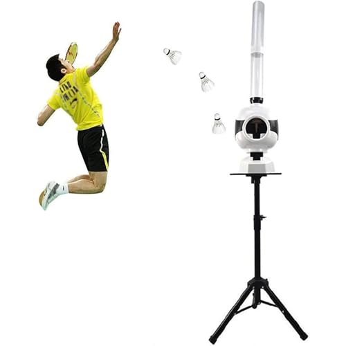 Appareil d'entraînement de badminton pour jouer sans partenaire