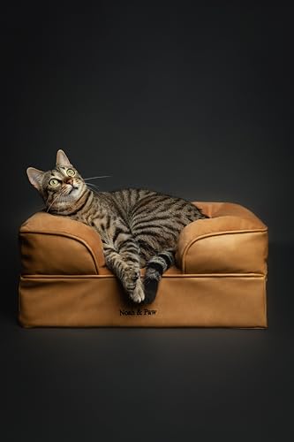 Image of NOAH & PAW Small Dog Bed, 20x15x8 Inch, Cat Bed for Indoor Cats, Orthopedic Eggshell Memory Foam Infused with Cooling Gel, Water Resistant Inner Cover Machine Washable (Faux Leather)