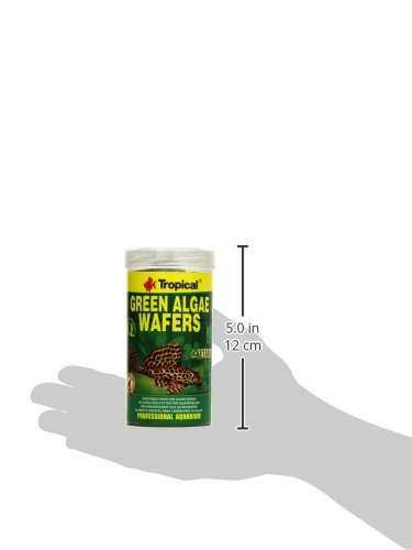 Tropical Green Algae Wafers Welschips, 1 x 250 ml - Afbeelding 3