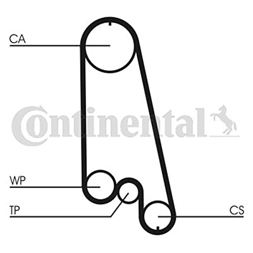 Kit de correa de distribución CT874WP5 y bomba de agua de 17 mm 3
