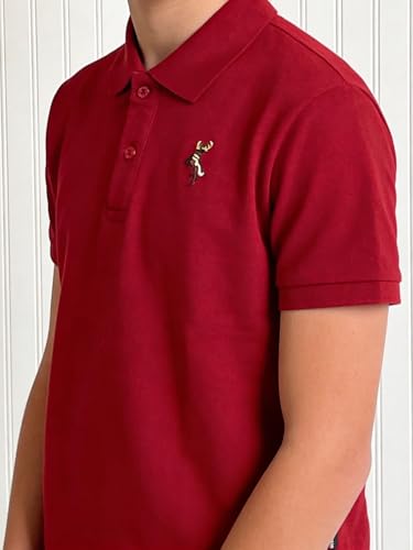 Image of Li'l Tomatoes Boys Cotton Pique Polo T-Shirt | Solid Collared Half Sleeve Tee for Kids | Soft Breathable Summer Wear | Casual Smart Polo T-Shirt | 9-16 Years
