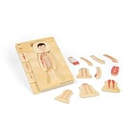 Bigjigs Toys Male Anatomy Puzzle - 26pcs Human Body Jigsaw Set, Wooden Jigsaws, Learn & Play Science Toy For Children, Educational Puzzles, Pre School Resources, Age 3 Years +