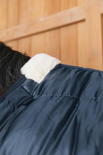 Couverture Kentucky 155 pour protéger le cheval au paddock en hiver - 2