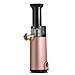 Tragbarer Mixer, Kompakter Slow Juicer Cold Press, Automatische kleine Masticating Juicer Machines, 120W Motor, Reverse-Funktion, Höhere Saftausbeute, für Gemüse und Obst
