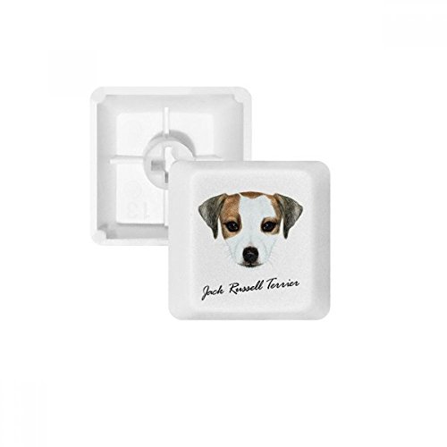 Keycaps Jack Russell Terrier PBT pour remplacer touche usée clavier mécanique