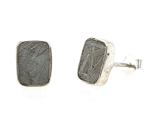 Natural Muonionalusta Meteorite Sweden...