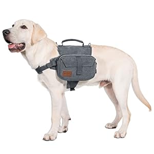 OneTigris Hoppy Camper 2.0 Hunderucksack Grau