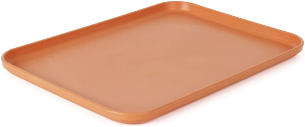 Reptile Large Water Dish, Tortoises Food Bowl - L (14.9 * 10.6 * 0.6)