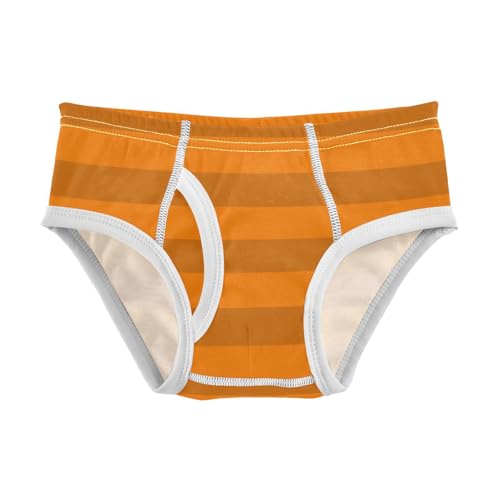 Orange Brown Stripe Toddler Boy's Underwear 2T