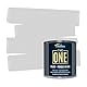 THE ONE All-in-One Farbe & Grundierung – Hellgrau Glänzend, 250 ml | Multi-Oberflächen 1-Schicht-Formel | Innen & außen | Wasserbasiert, langlebig & VOC-arm