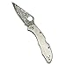Spyderco Delica 4 Flat VG10 Damascus Plain Blade Titanium Handle Knife - C11TIPD