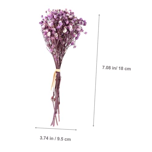 Ramo de 6 flores secas Gatuida para decoración miniatura 2