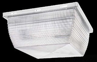 Fluorescent Vandal Proof Ceiling